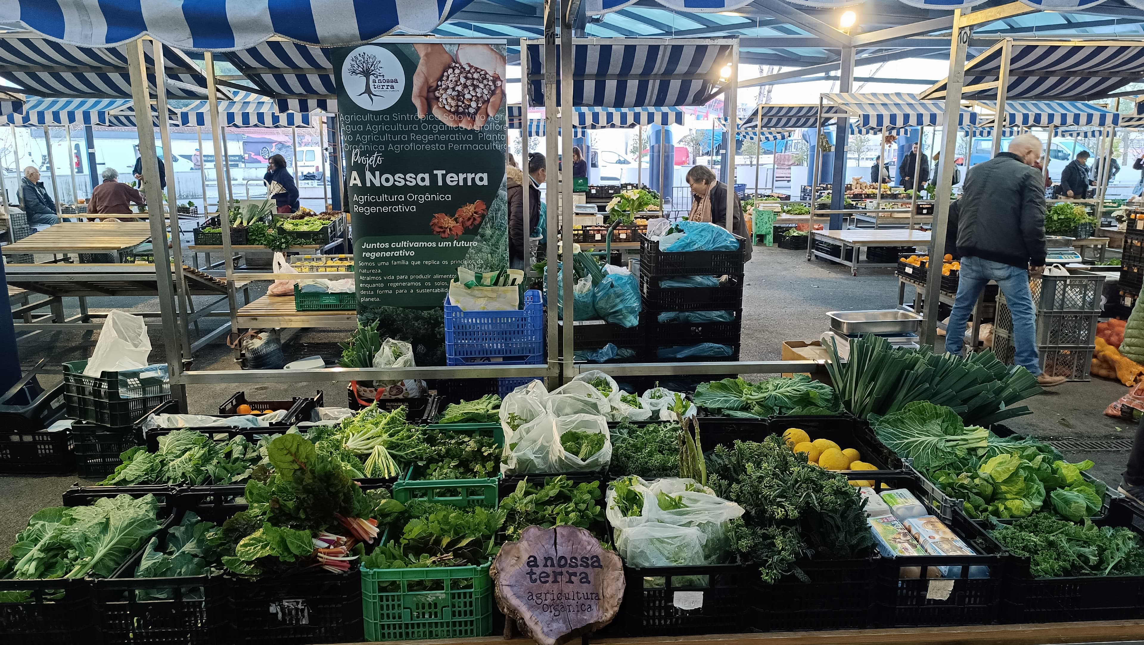Mercado Municipal Leiria - Terça-feira
