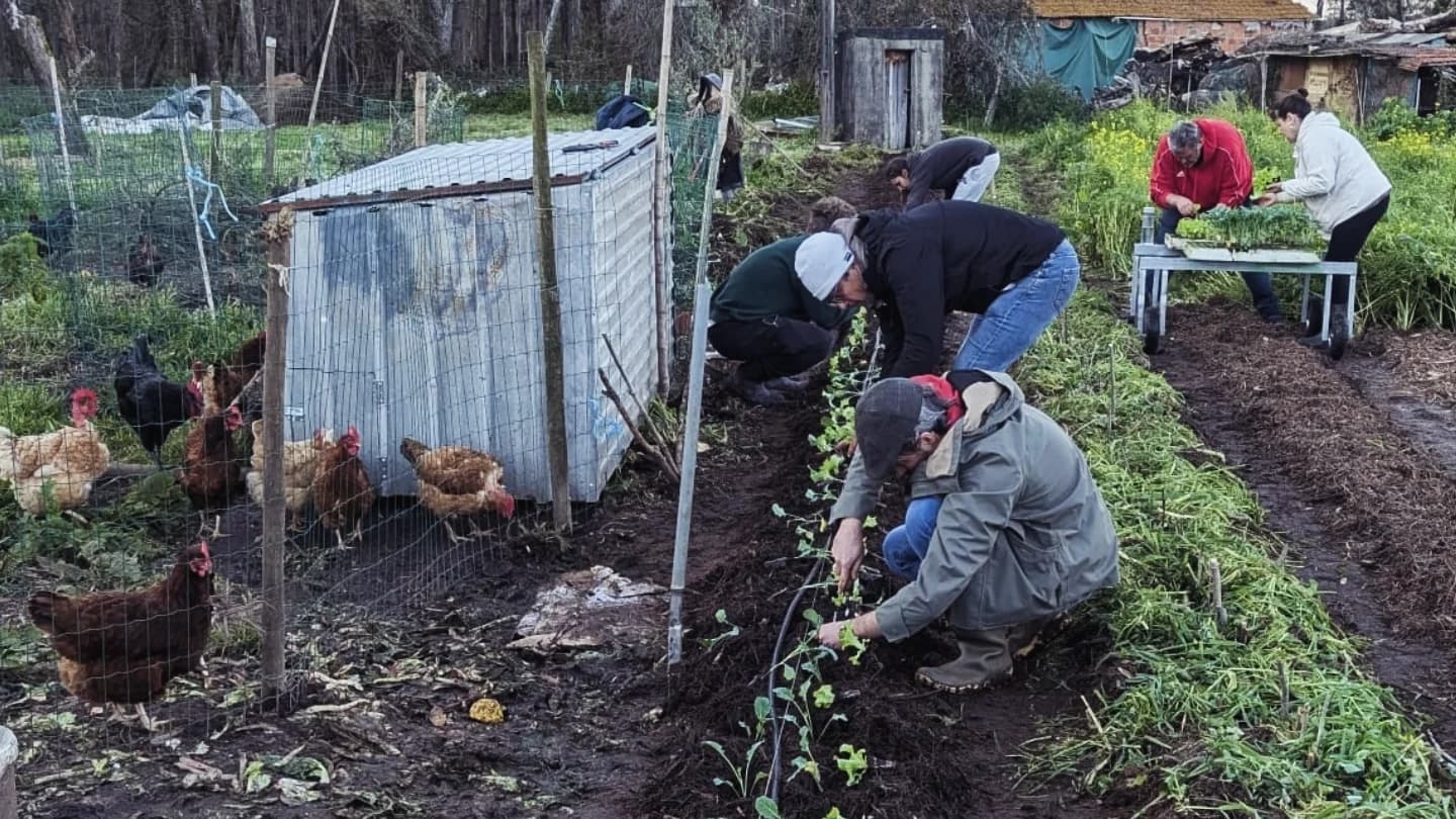 Curso de agricultura