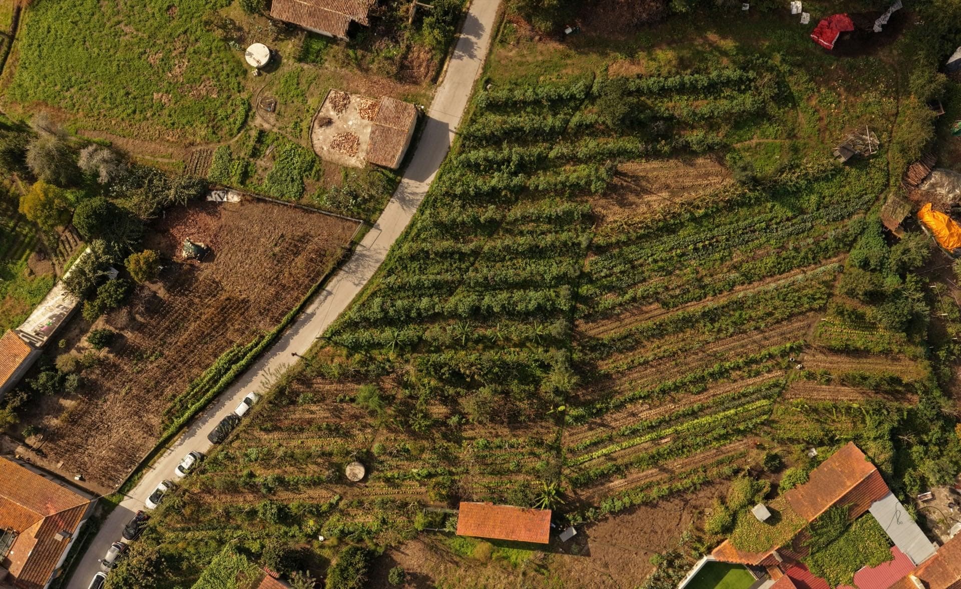 Vista aérea do Projeto A Nossa Terra