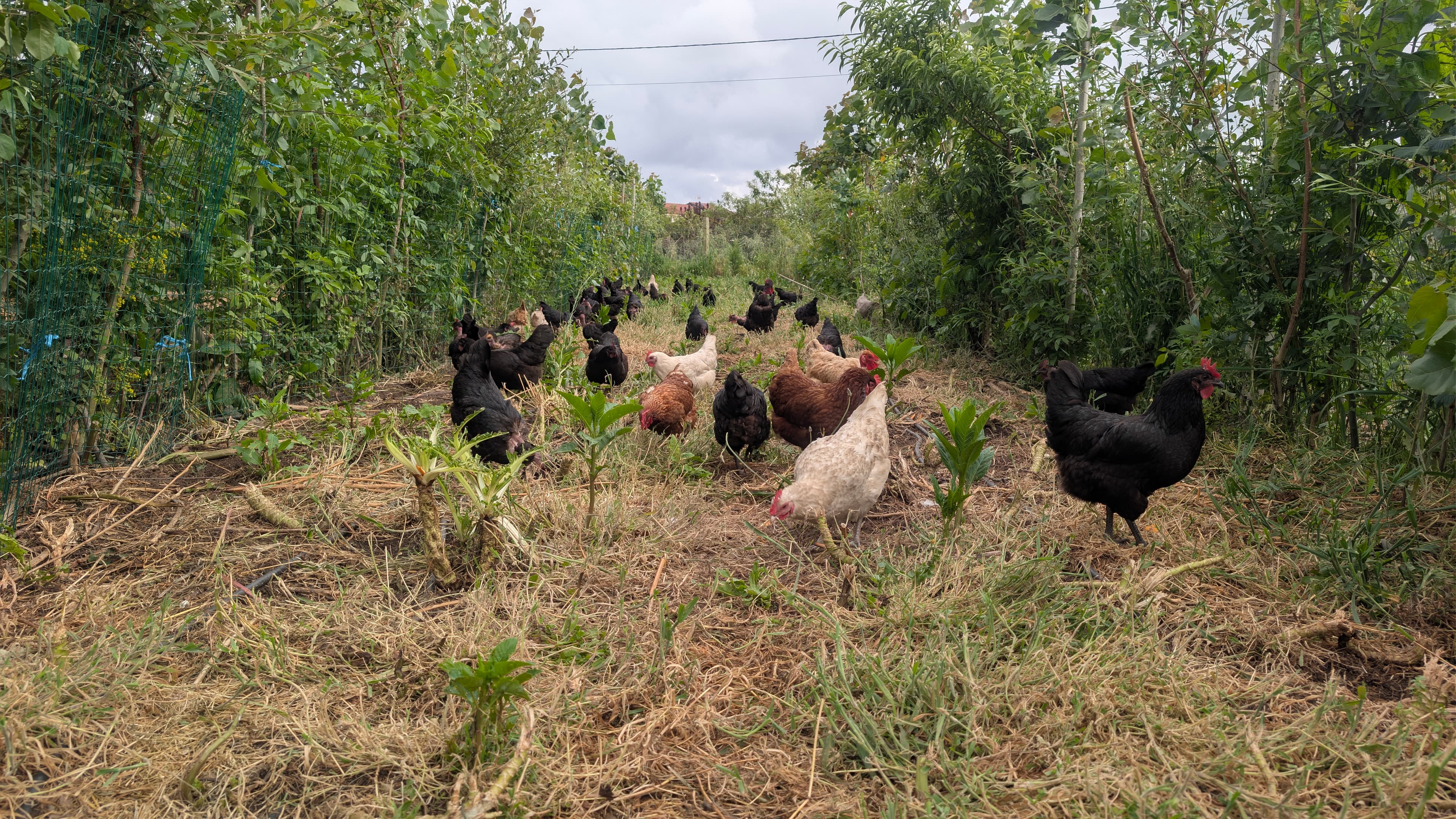 Projeto A Nossa Terra