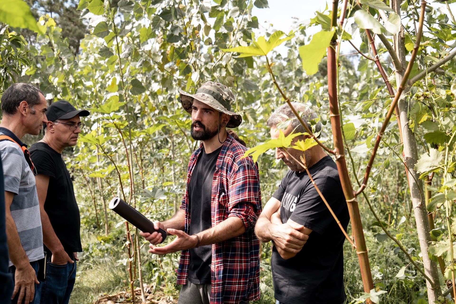 Mentorias em Agrofloresta